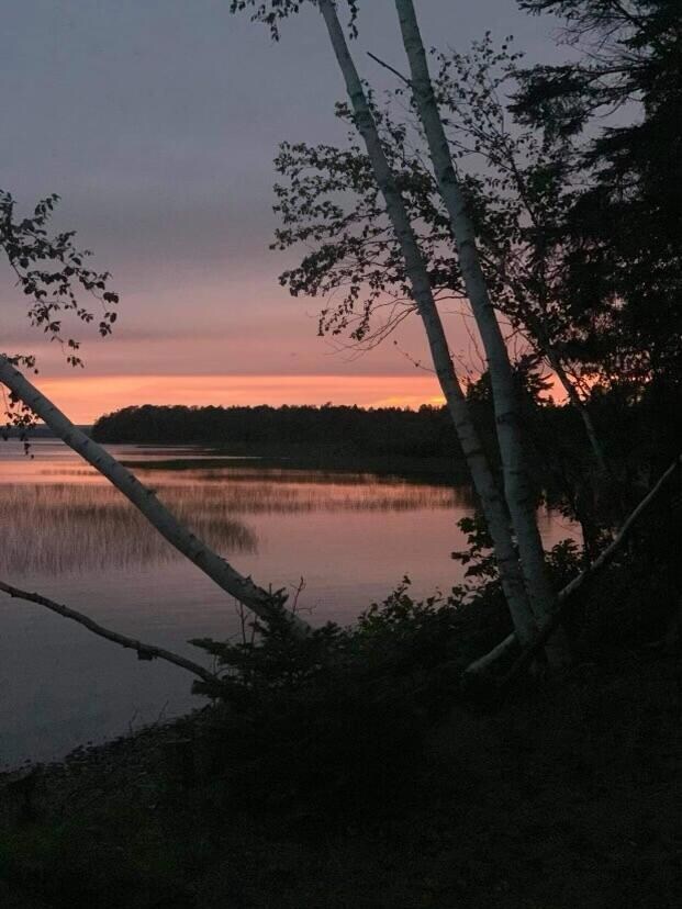 Fraser Camps