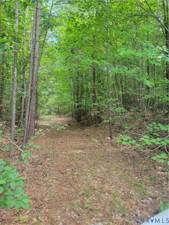 0 Boydton Plank Rd, Brodnax, VA 23920 - photo 2