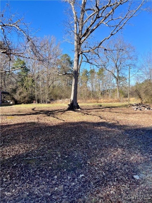 11901 Mapsico Rd, Charles City, VA 23030 - photo 3