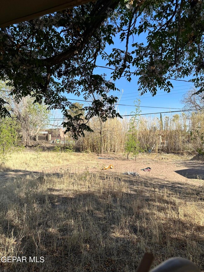 228 Columbia Ave, El Paso, TX 79907 - photo 2