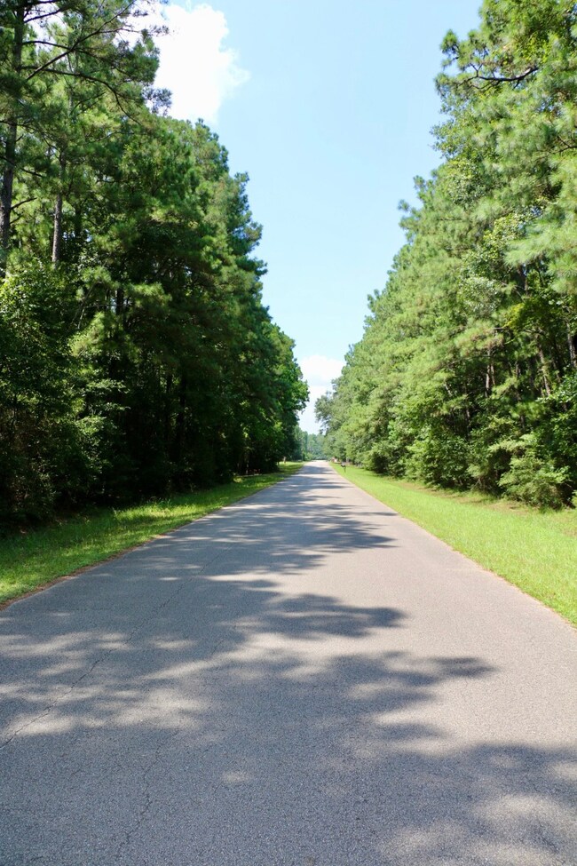 0000 Chelsie Place, Magnolia, TX 77354 - photo 2