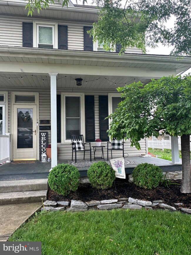 313 E Cherry St, Palmyra, PA 17078 - photo 4