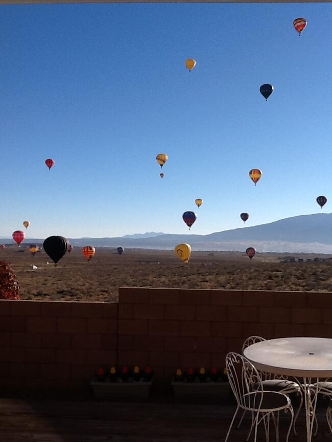 wilder balloons
