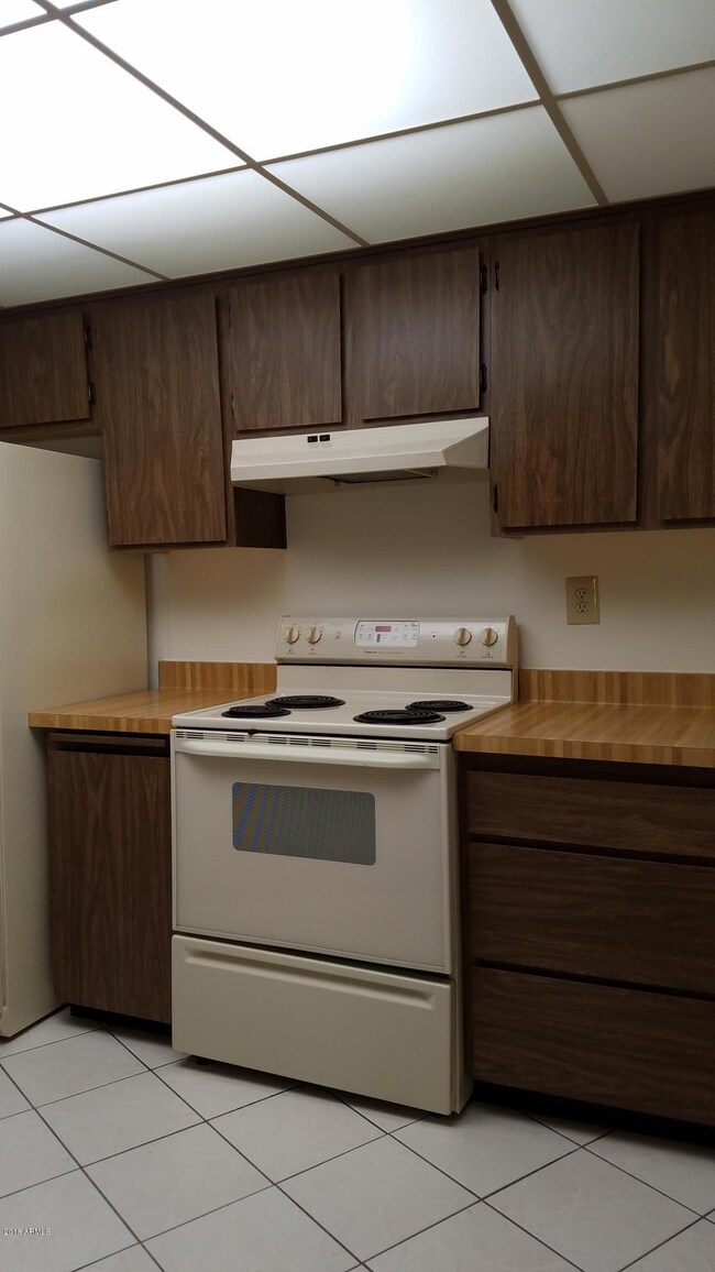 10887 W Emerald Dr, Sun City, AZ 85351 - photo 5