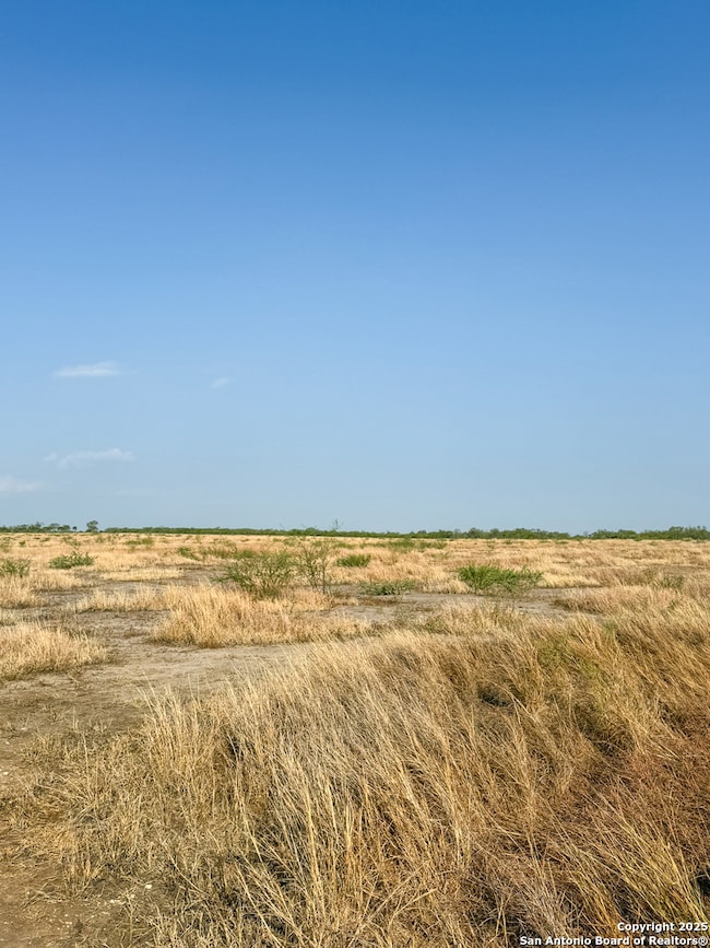 6870 County Road 329 (Tract 1-5), Jourdanton, TX 78026 - photo 3