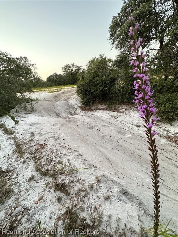 206 Rhythm Dr, Lake Placid, FL 33852 - photo 2