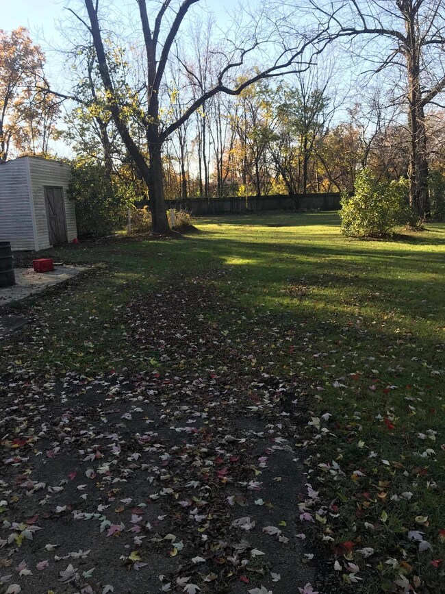 Backyard
