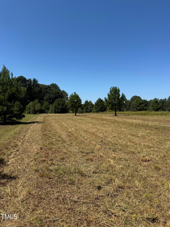 1 Basstown Rd, Clinton, NC 28328 - photo 3