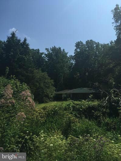 340 Brownsville Rd, Centreville, MD 21617 - photo 2