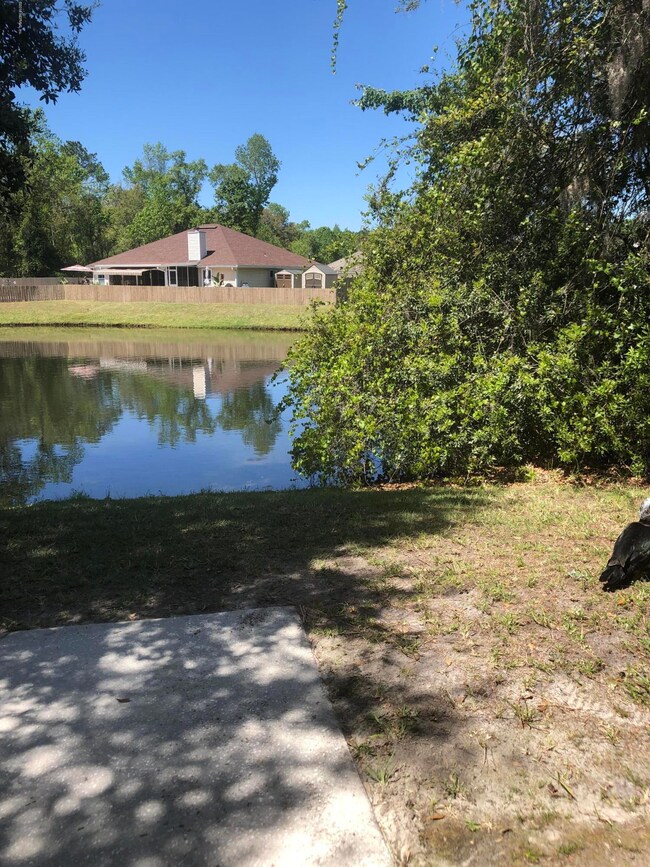 Patio/Lake