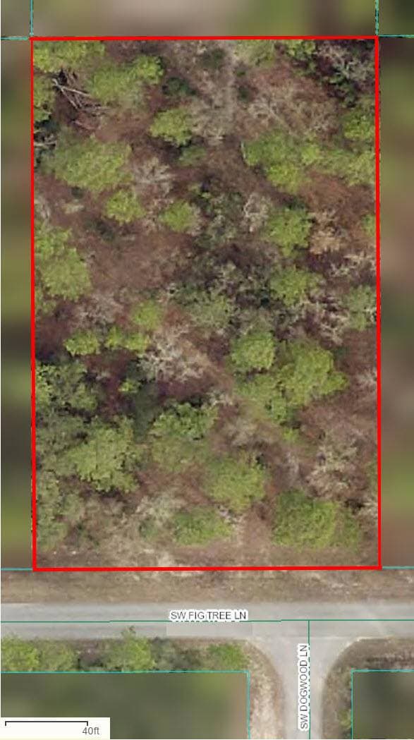 0000 SW Fig Tree Ln - 0.99 ACRE