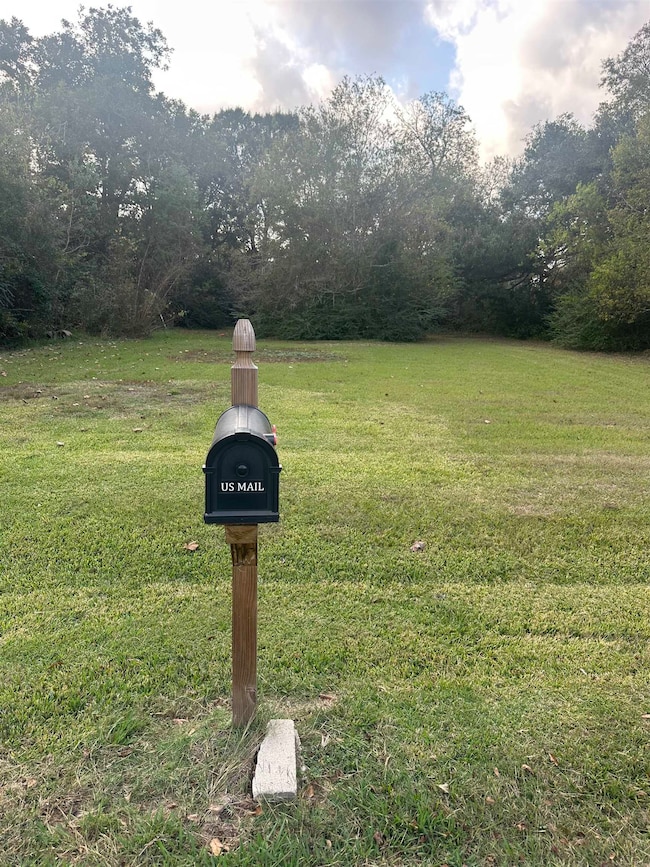 000 N Garden Dr unit Lot 4 Tract 4 Beauxa, Beauxart Gardens, TX 77705 - photo 4