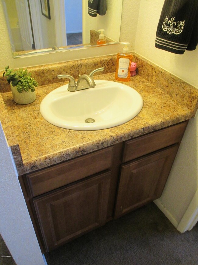 Bath Vanity Area