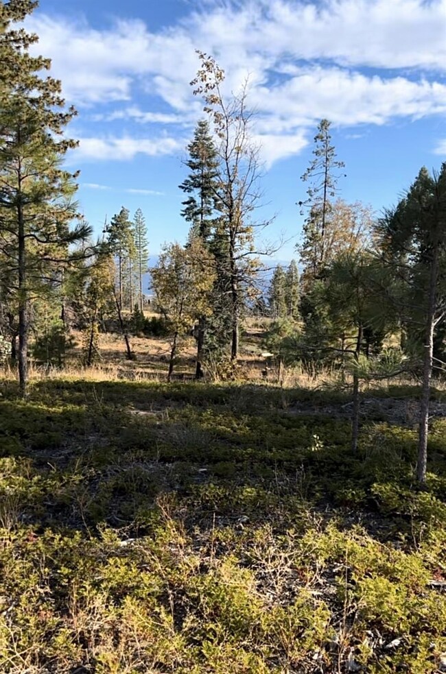 0 Shaver Lake unit 640388, Auberry, CA 93602 - photo 2