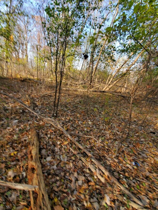 0 Pennsylvania Ave, Hampton Manor, NY 12144 - photo 4