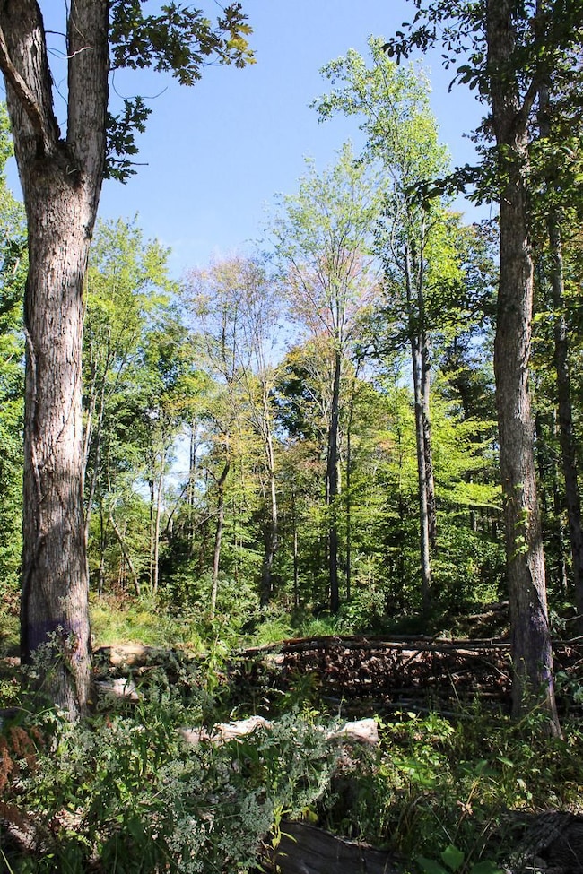 8100 S County Rd 800 W, Commiskey, IN 47227 - photo 3