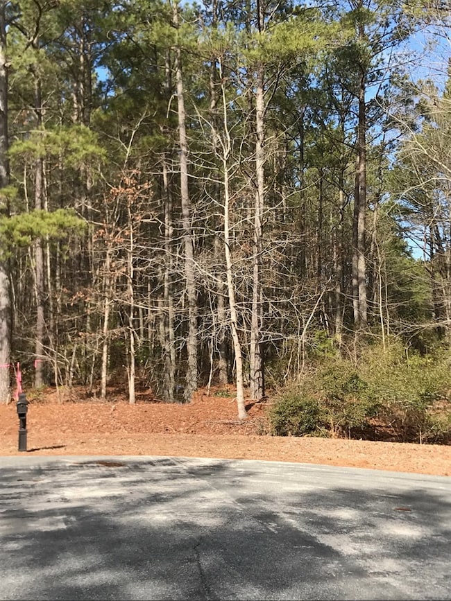 Lot 14 Goose Creek Rd, Shacklefords, VA 23156 - photo 2