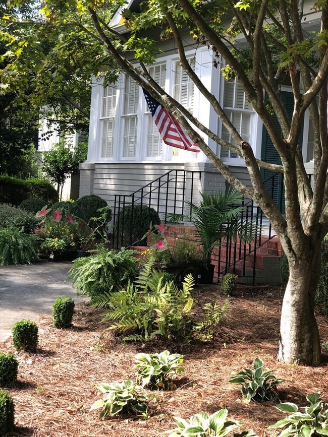 Additional Photo