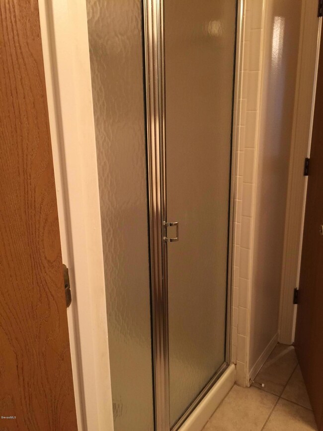Master Shower