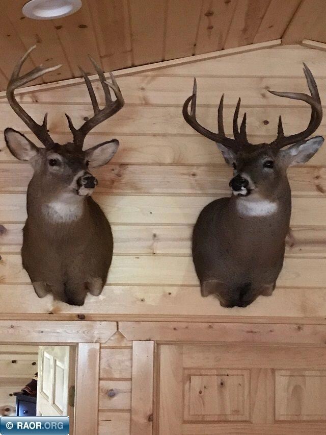 TBD Arkola Rd, Toivola, MN 55765 - photo 6