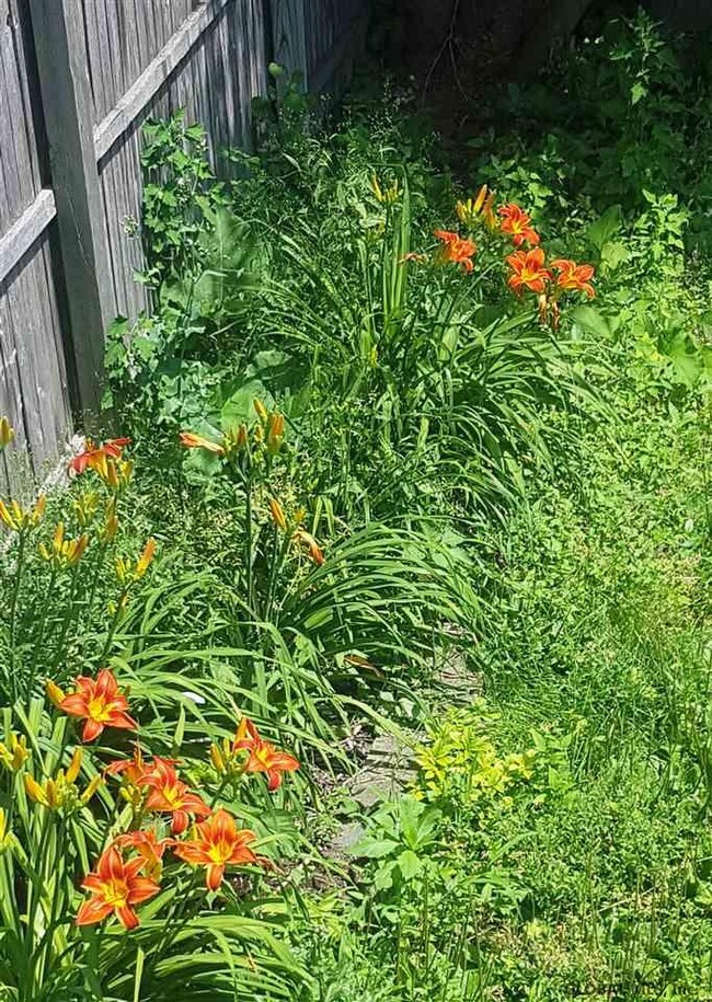 179 Eagle St unit 2, Albany, NY 12202 - photo 3