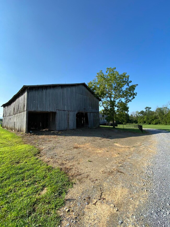 165 image 2