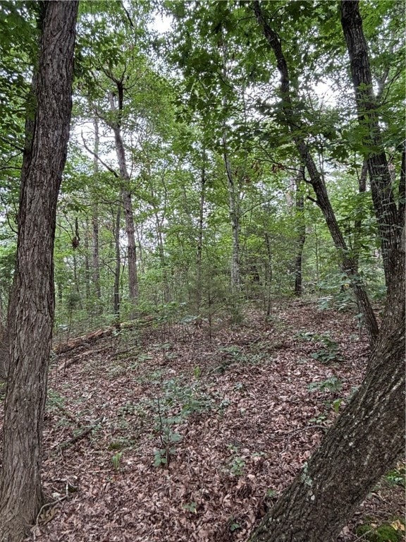 0 Tbd Cr 507 unit 1312043, Berryville, AR 72616 - photo 6