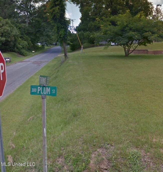 1306 Thomas St, Summit, MS 39666 - photo 4