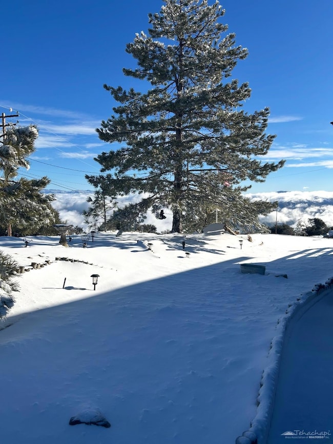 25781 Jacaranda Dr, Tehachapi, CA 93561 - photo 3