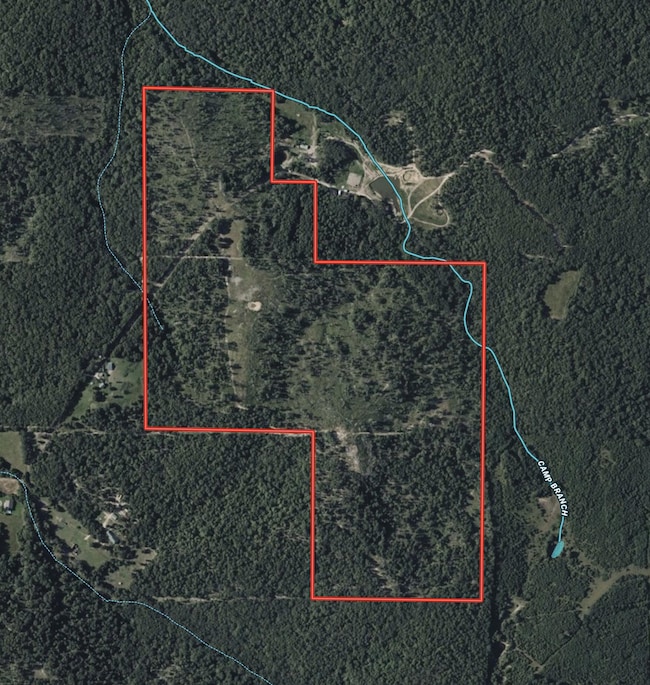 000 Berry Rd, Cabool, MO 65689 - photo 3