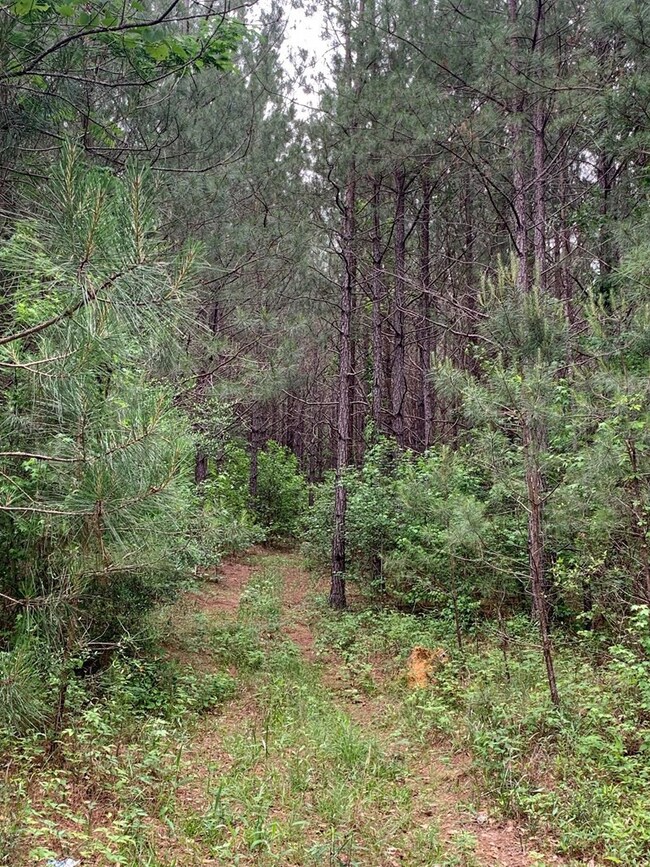 . Fergson Rd Barber Rd Crooked Creek Rd, Silver Creek, MS 39663 - photo 6