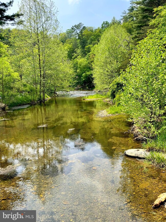 15 ac Honeycomb Ln, Sugar Grove, WV 26815 - photo 4