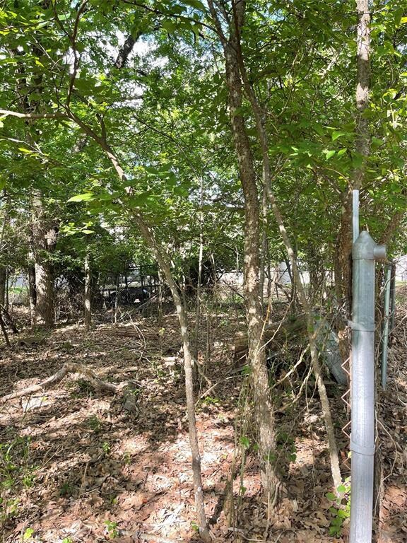 1410 E Lake Dr, Weatherford, TX 76087 - photo 5