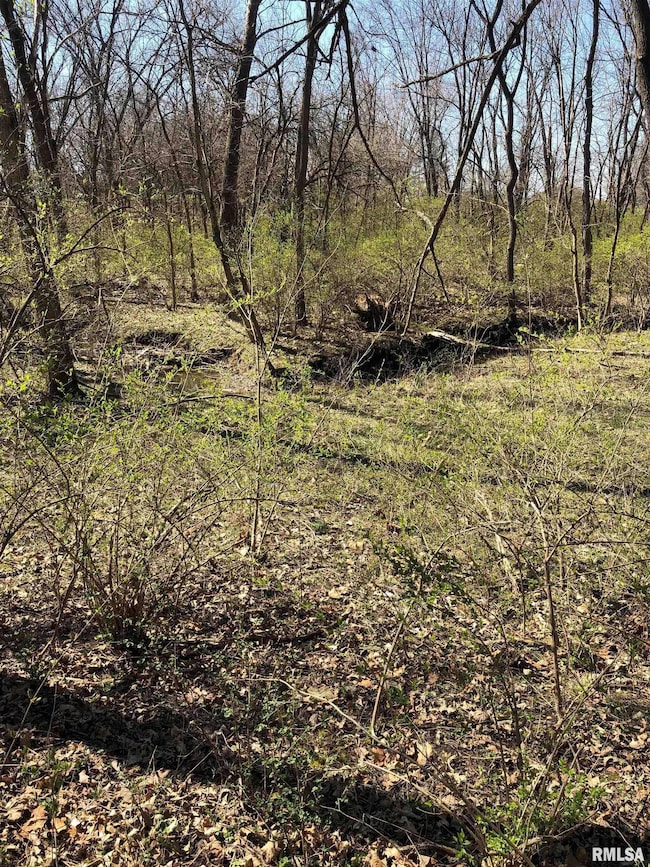 3908 Vanderbilt Cir, Springfield, IL 62711 - photo 3