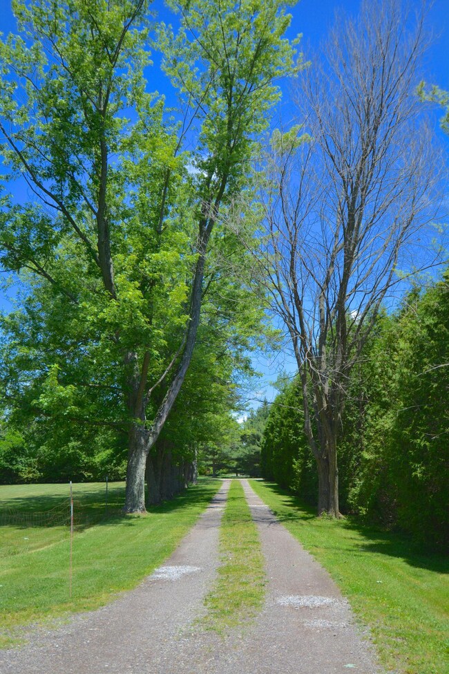 Driveway