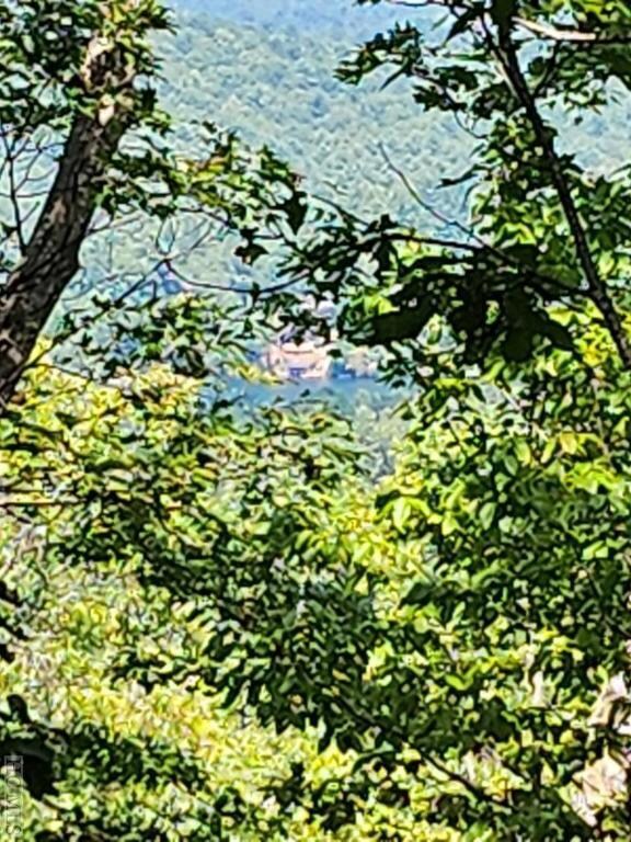 TM I 57 Toxaway Ct, Lake Toxaway, NC 28747 - photo 7