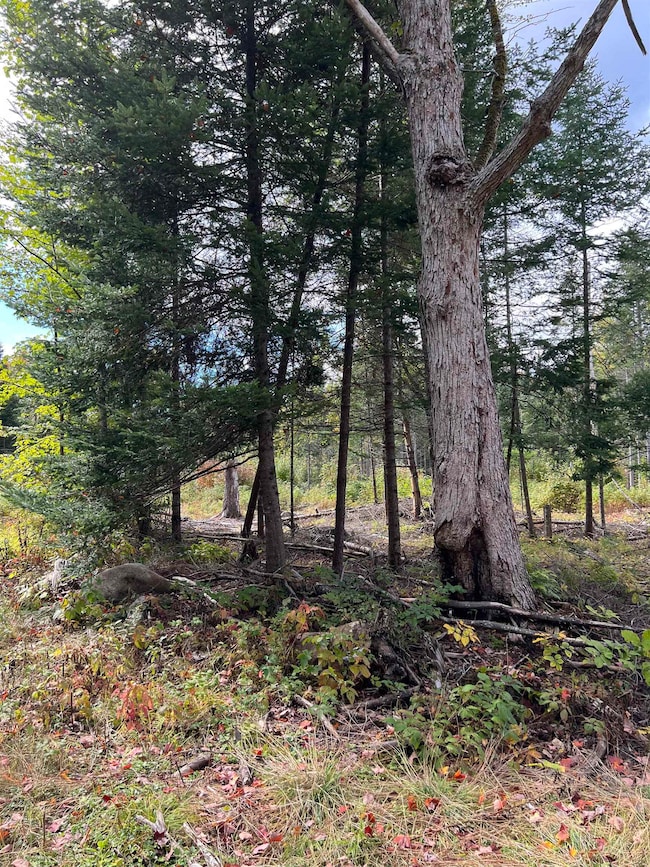 0 Evergreen Dr, Dalton, NH 03598 - photo 7