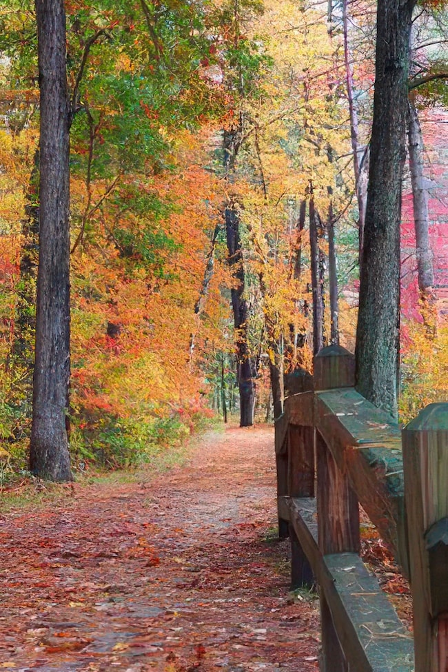 9 Bartemus Trail unit U303, Nashua, NH 03063 - photo 5