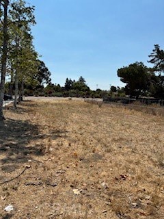 134 W Tefft St, Nipomo, CA 93444 - photo 3