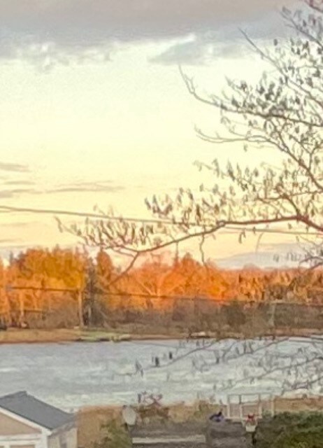 7 Munro Ave, Warren, RI 02885 - photo 4