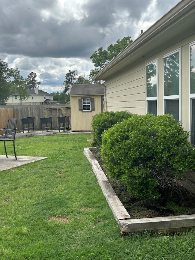 Back yard
