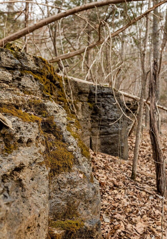 Ozark38(MLSRES)-15