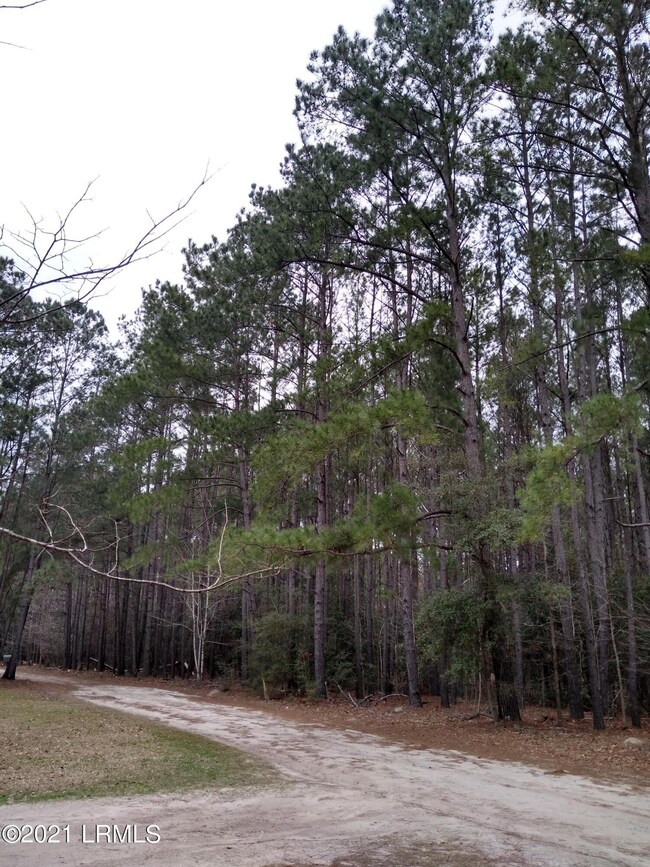 IMG_20210301_113742390_HDR