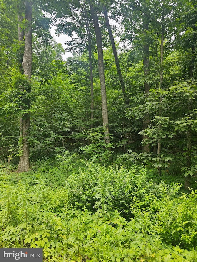 00 Pisgah Rest, Shermans Dale, PA 17090 - photo 7