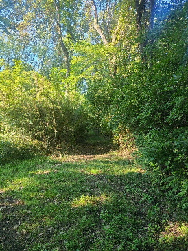 6911 Number Five Rd, Pleasant Plain, OH 45162 - photo 2