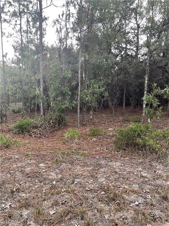 TBD SW 87th St, Dunnellon, FL 34431 - photo 2