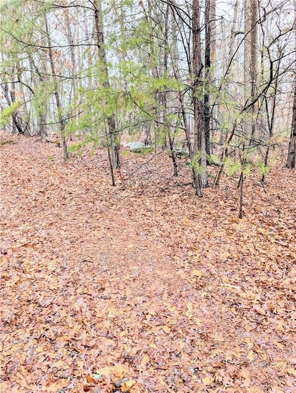 View from top of driveway