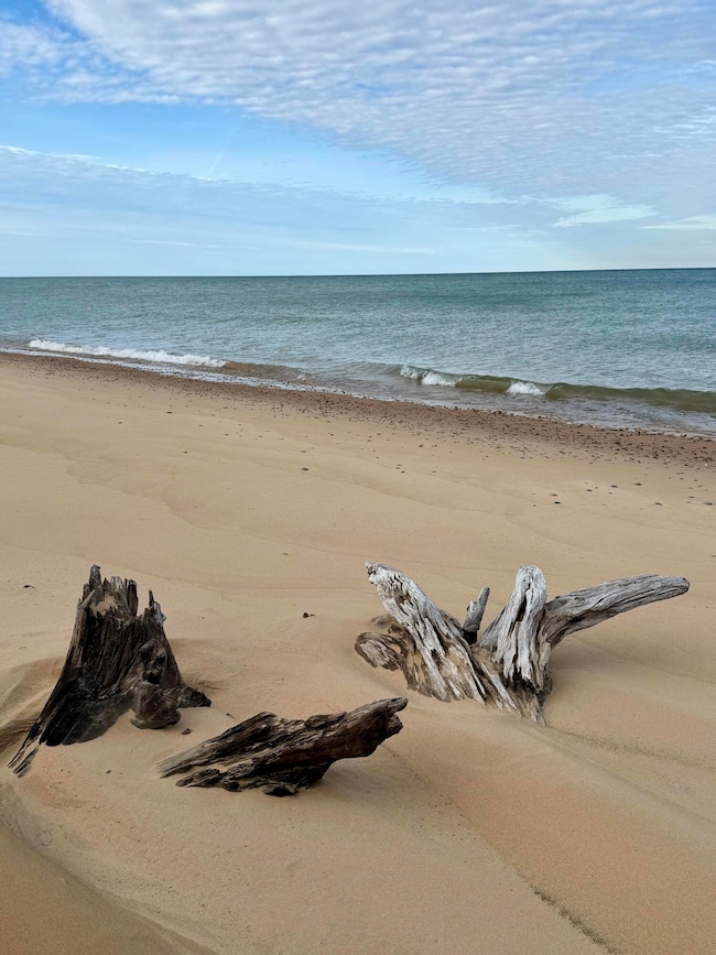 Lot 3 W North Shore Rd, Whitefish Township, MI 49768 - photo 3