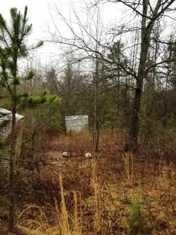 137 Country Junction Rd, West Union, SC 29696 - photo 6