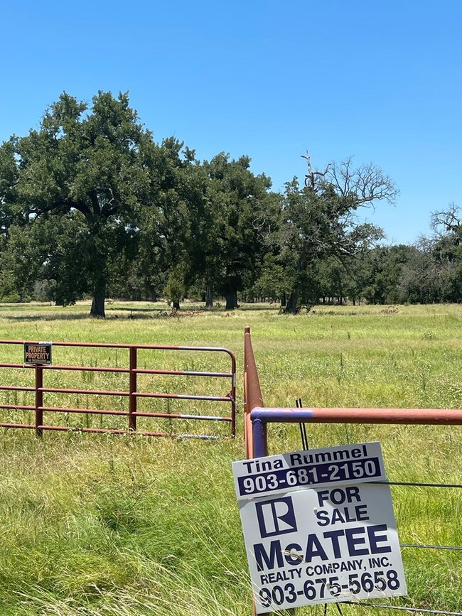 0 Cr 1200, Athens, TX 75751 - photo 7